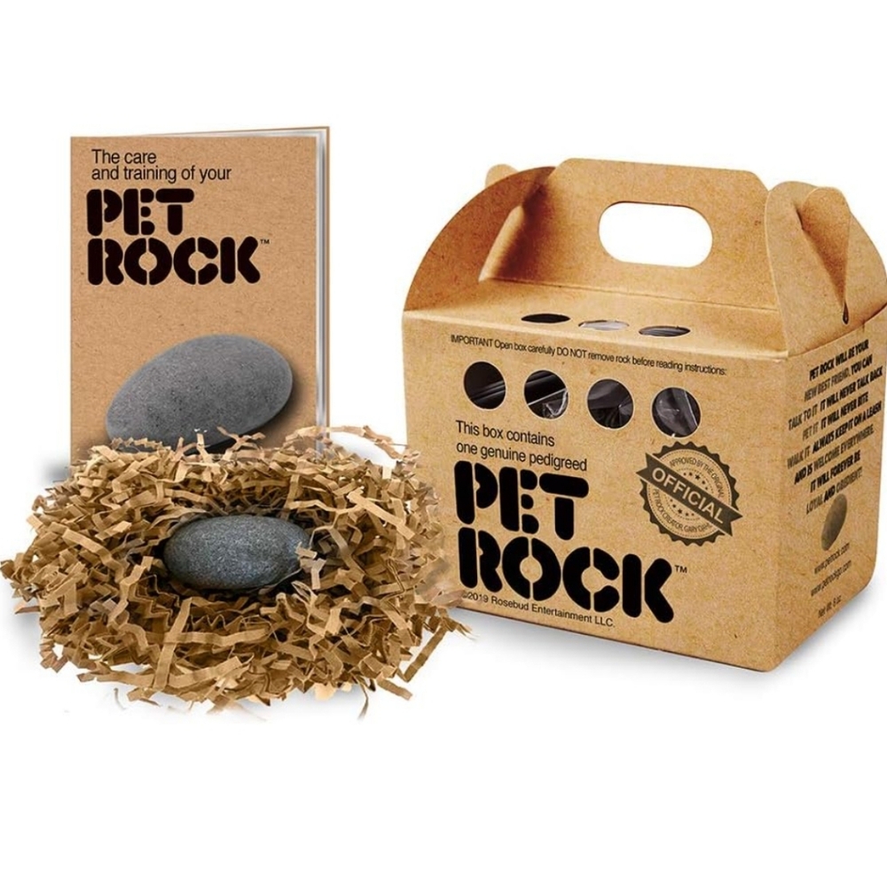 COPY - Pet Rock 🪨